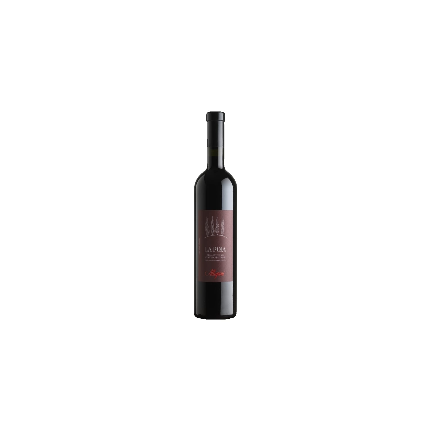 2017 Allegrini Corvina Veronese La Poja