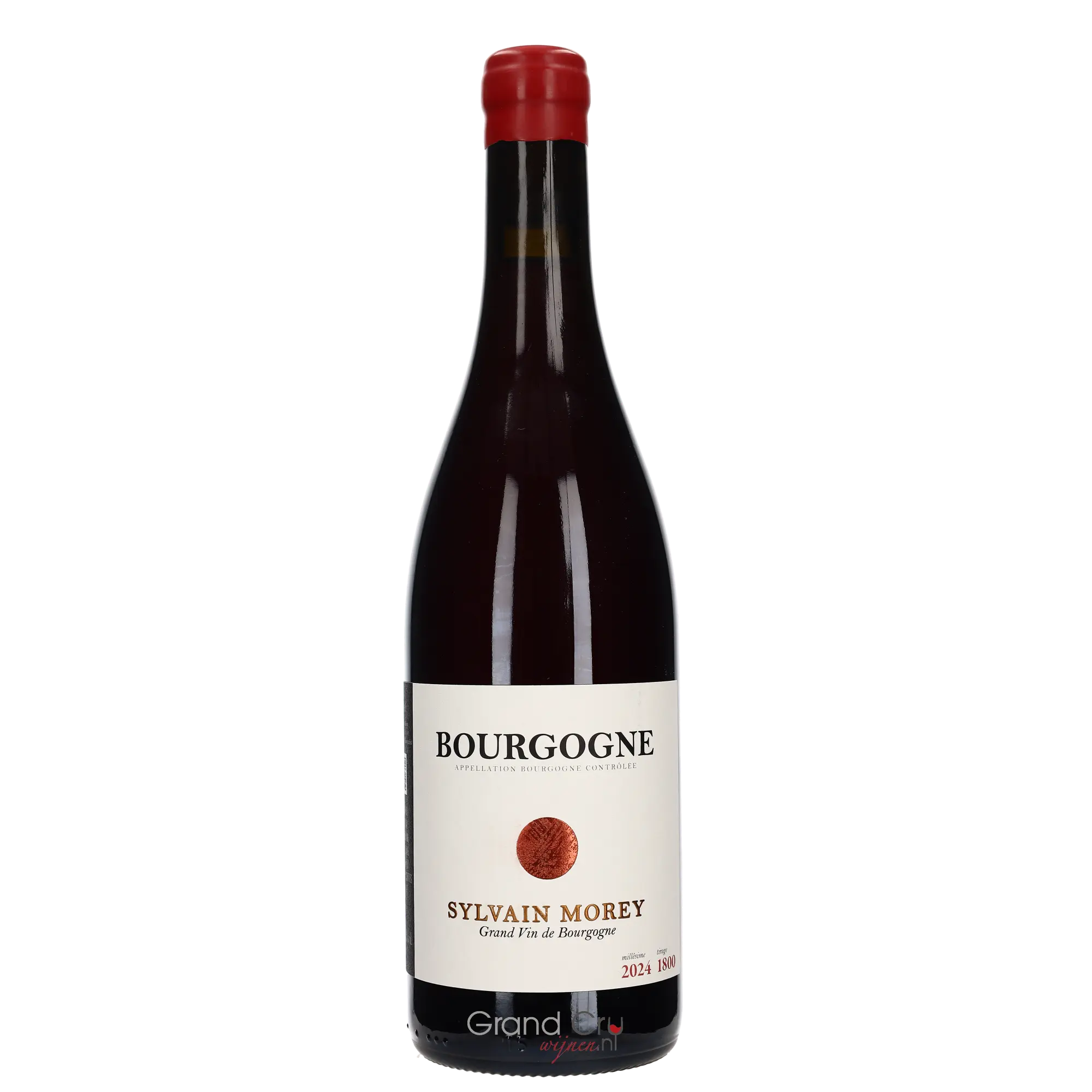 2024 Domaine Sylvain Morey Bourgogne Rouge