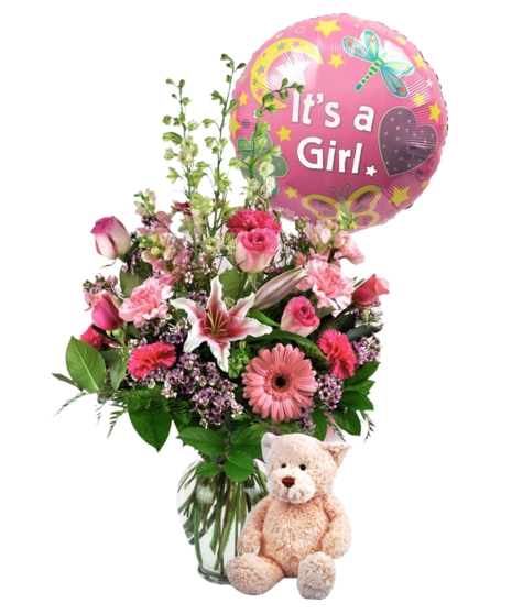 Baby Girl Surprise (Standard)