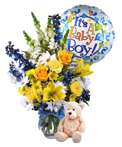 Baby Boy Surprise (Standard)