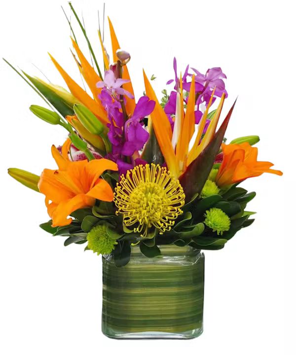 Bold Blooms (Starting At (Smaller , fewer flower))