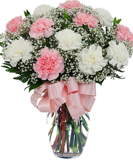 Pink Coral (18 Carnations)