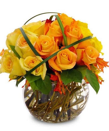 Harvest Gold (Starting At
smaller version than shown)
