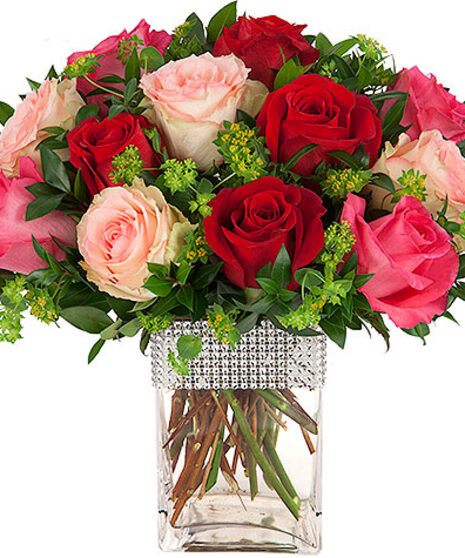 Hollywood Glam (12 roses)