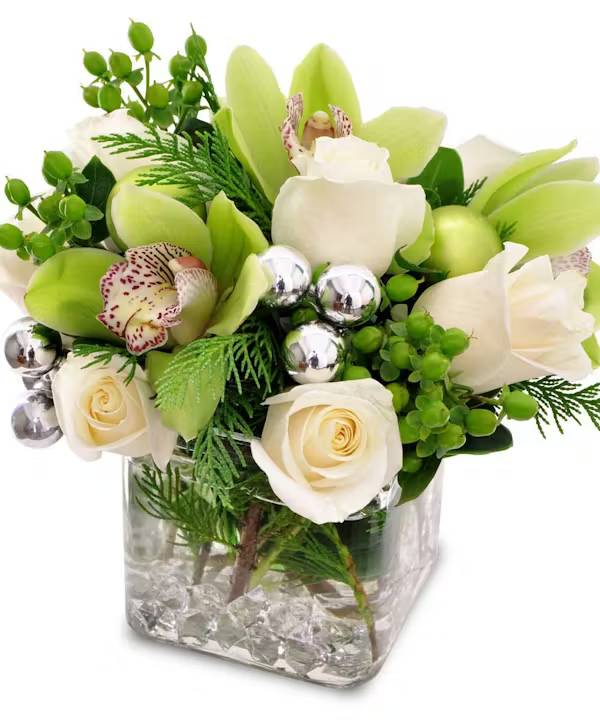 Orchid Celebration (As Shown with 6 Roses)