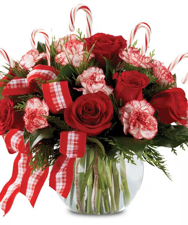 Peppermint Posies (As Shown)