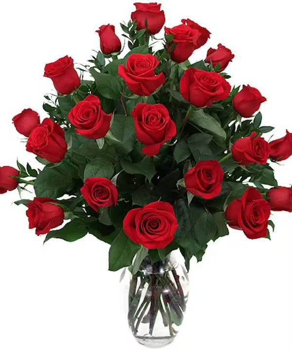 The Classics (18 roses)
