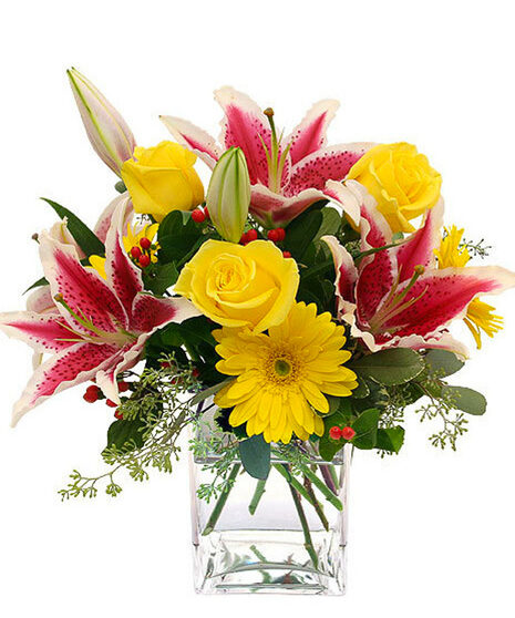 Scented Sunshine (Standard)