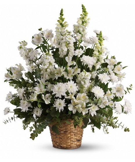 Serene Simplicity Sympathy Arrangement (Standard)