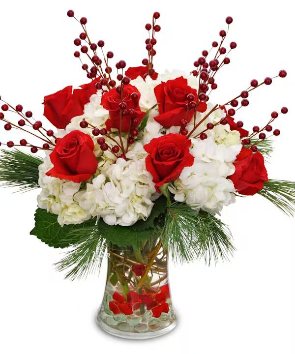 Snowcapped Roses (Standard)