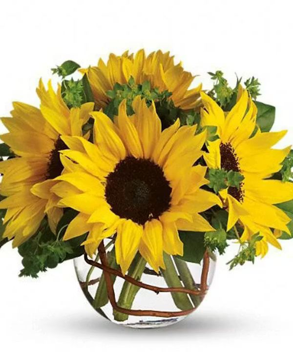 Sunny Sunflowers (Standard)