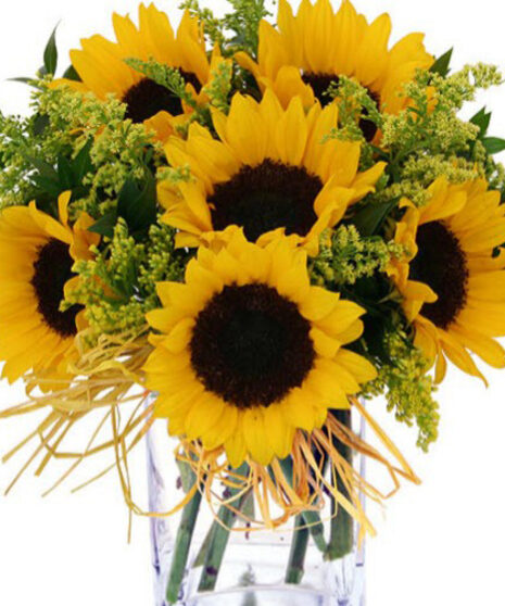 Summer Solstice (5 Sunflowers)
