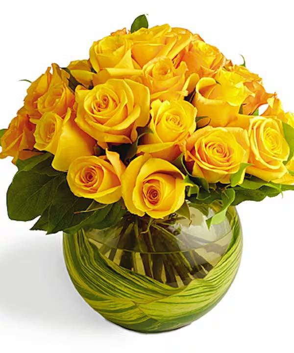 You Are My Sunshine (12 roses)