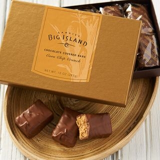 Milk Chocolate Covered Corn Chip Crunch Bar