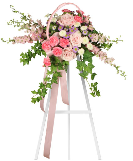 DELICATE PINK SPRAY (Standard)