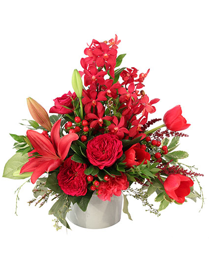 RUBY ALLURE (Standard)