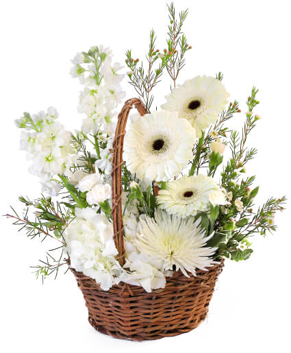 PRISTINE WHITE BASKET (Standard)