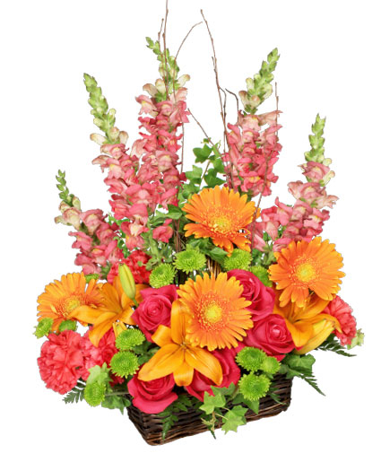 BRILLIANT BASKET (Standard)