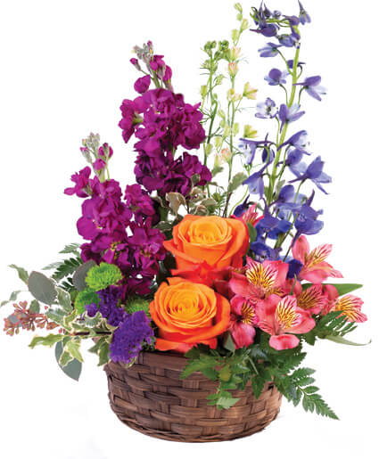 HARMONY'S BASKET (Standard)