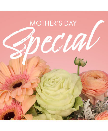 MOTHER'S DAY SPECIAL - DESIGNER'S CHOICE (Standard)