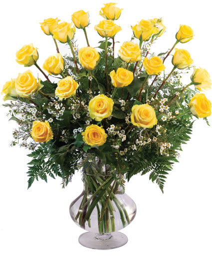 TWO DOZEN YELLOW ROSES (Standard)