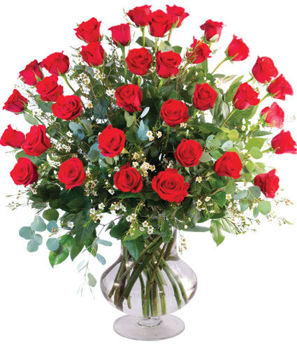 THREE DOZEN RED ROSES (Standard)