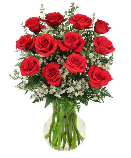 RED ROSES AND WISPY WHITES (Deluxe)