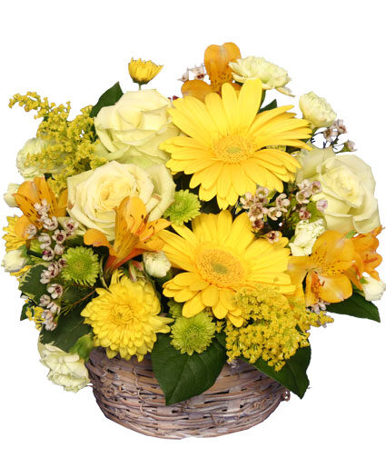SUNNY FLOWER PATCH (Standard)