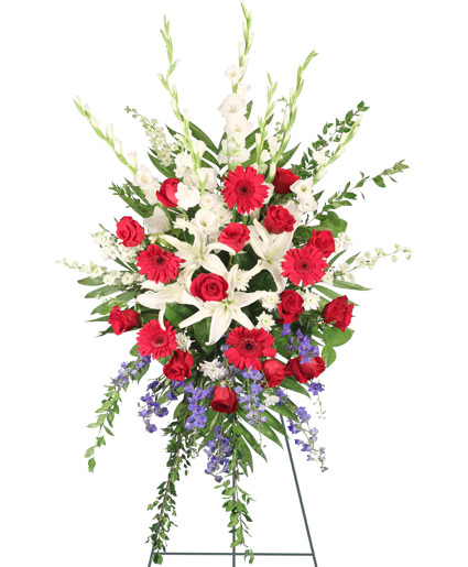 PATRIOTIC SALUTE (Standard)