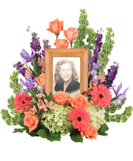 BITTERSWEET TWILIGHT MEMORIAL (Standard)