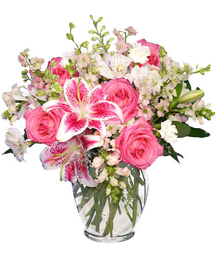 PINK and WHITE DREAMS (Standard)
