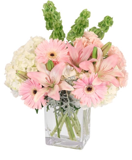 PINK PRINCESS (Standard)