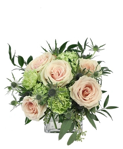 LIGHT PINK SIMPLICITY_x000D_
ROSE ARRANGEMENT (Standard)