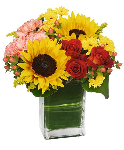 SEASON FOR SUNFLOWERS (Standard)