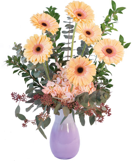 PASTEL GERBERAS (Standard)