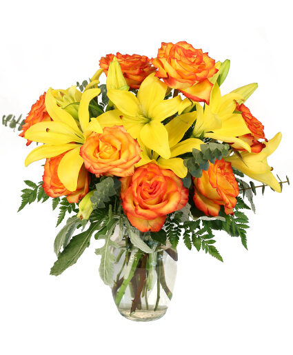 VIVID AMBER (Standard)