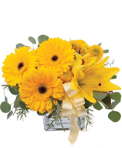 PETITE YELLOW (Standard)