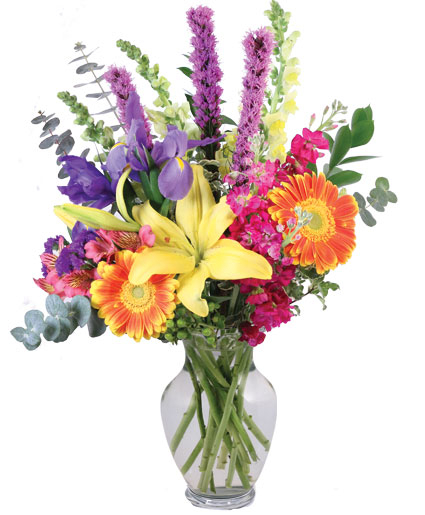 RAINBOW MADNESS_x000D_
FLORAL DESIGN (Standard)