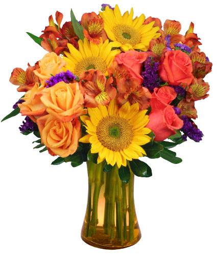 SUNFLOWER SAMPLER (Standard)