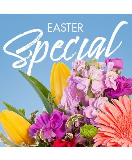 EASTER SPECIAL DESIGNER'S CHOICE (Deluxe)