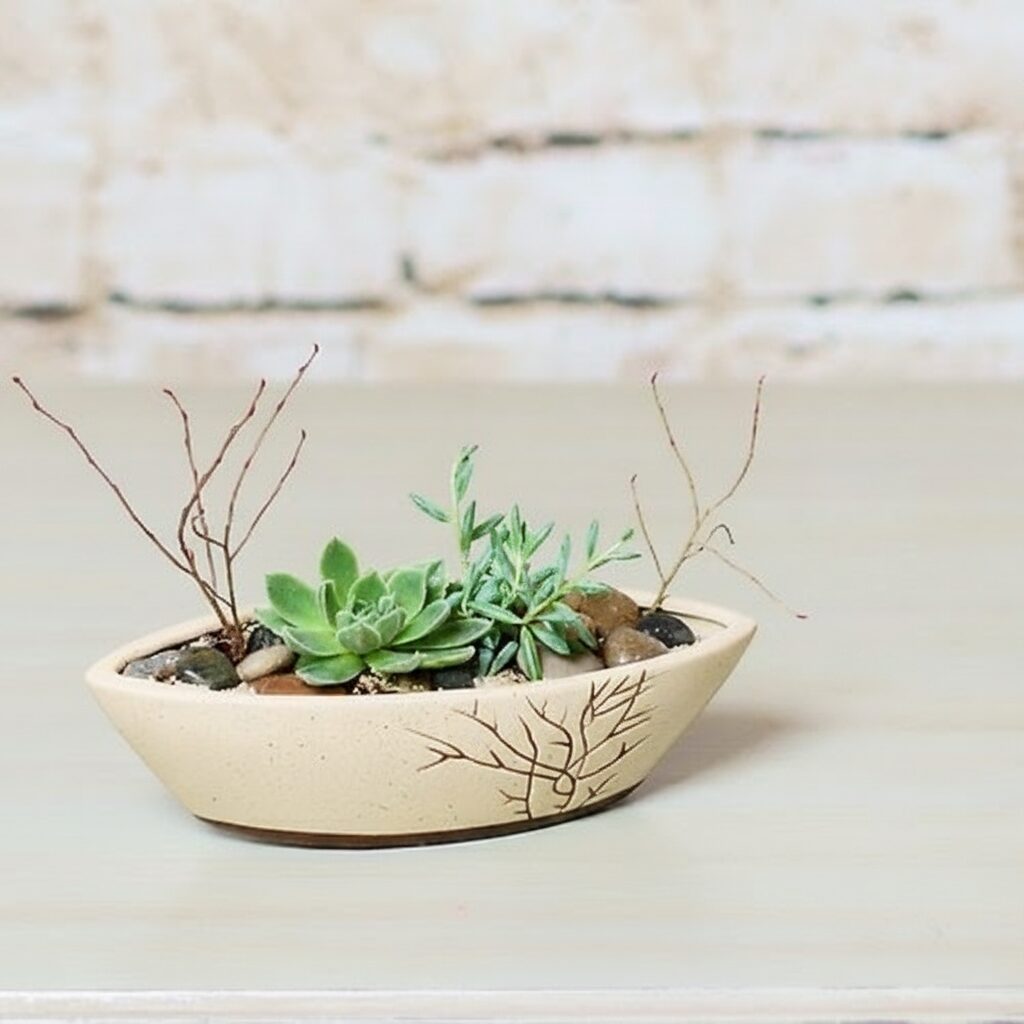 Serene Succulent Garden