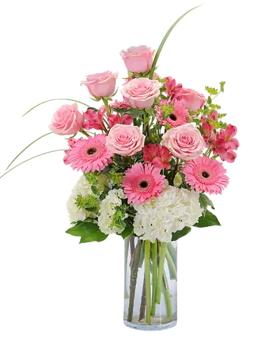 Pink Petals (Standard)