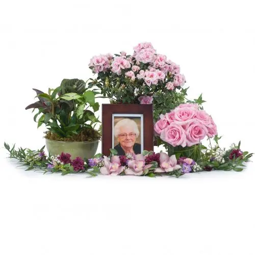 Lovely Lady Tribute (Standard)
