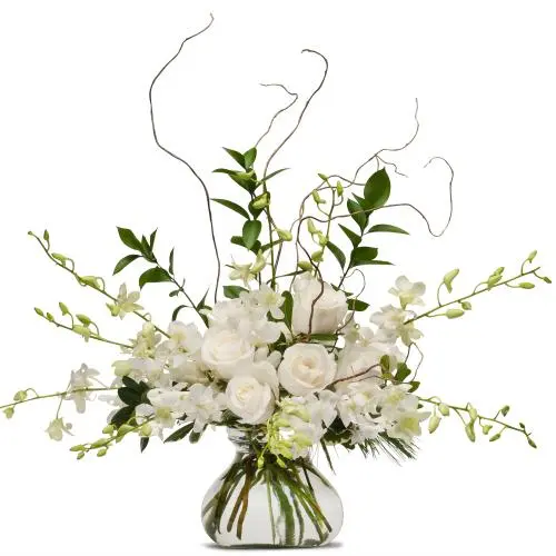 White Elegance (Standard)