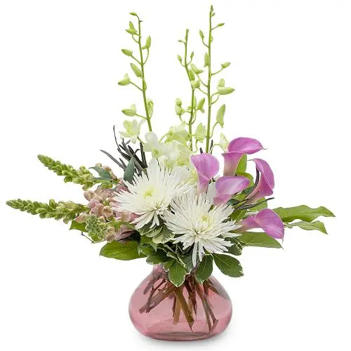 Calla Kisses (Premium)