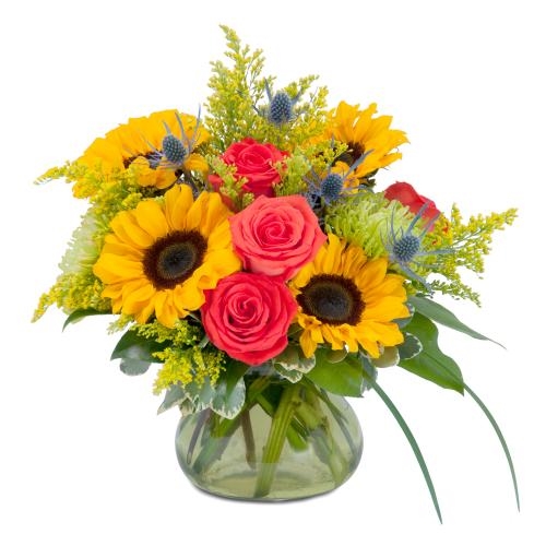 Sunlit Splendor (Standard)