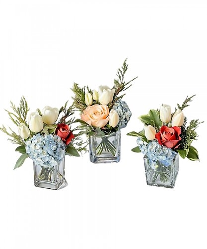Tulip Trio
