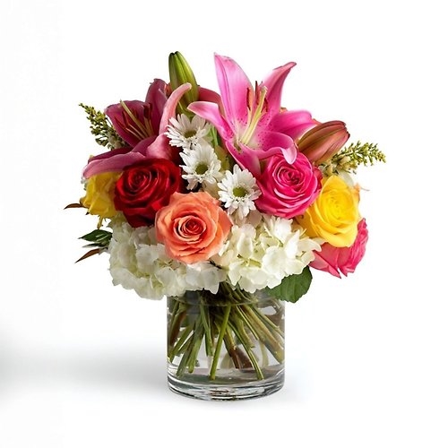 Love in Technicolor (As Shown)