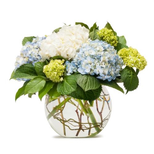 Mighty Hydrangea (As Shown)