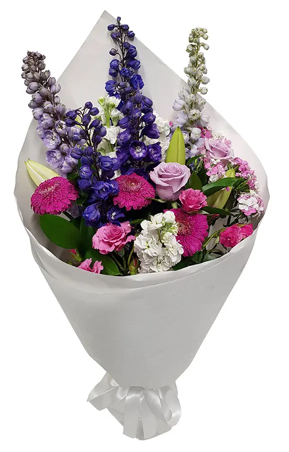 Mauve Magic (Small)
